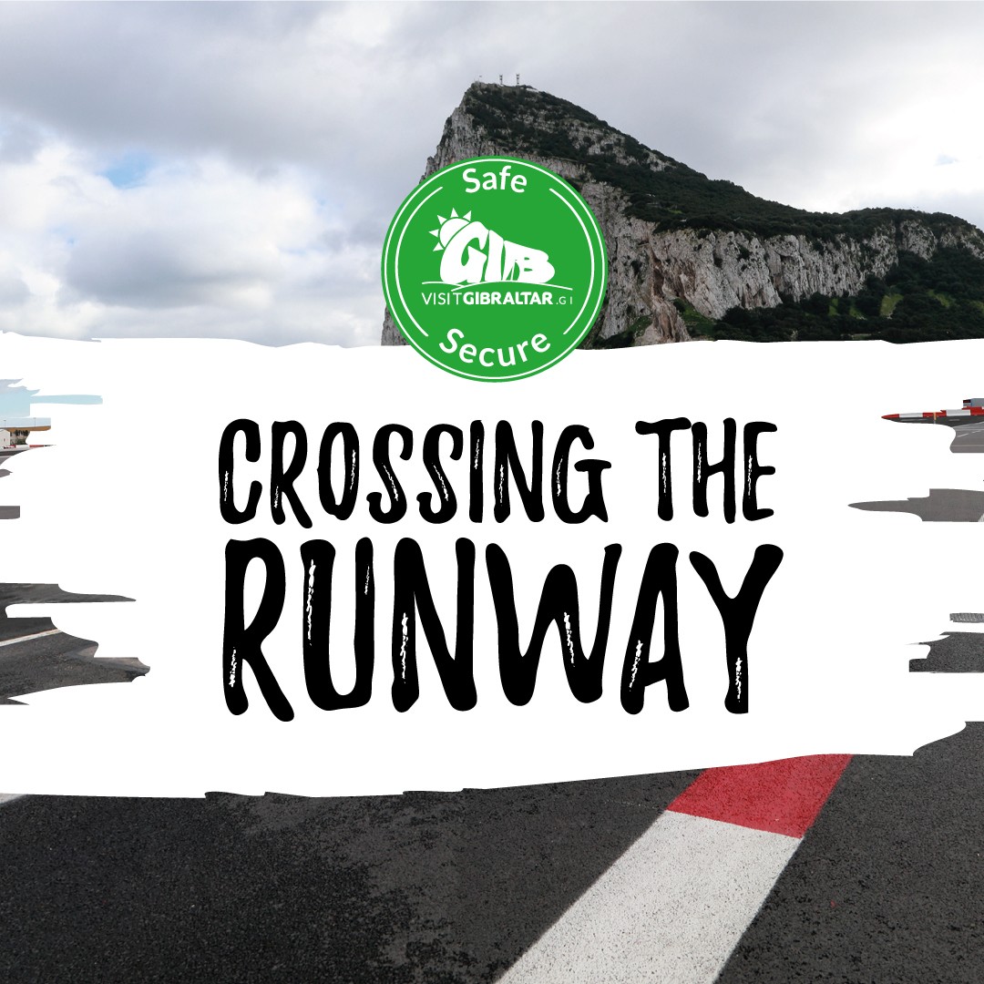 Image of Crossing the Runway